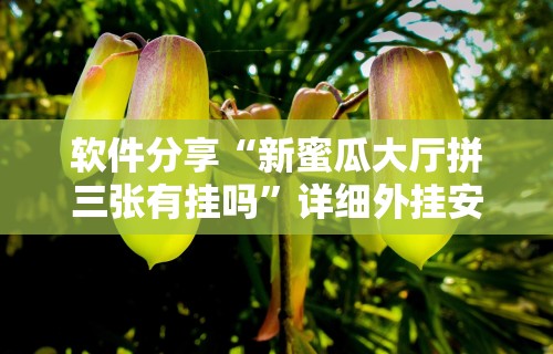 软件分享“新蜜瓜大厅拼三张有挂吗	”详细外挂安装步骤