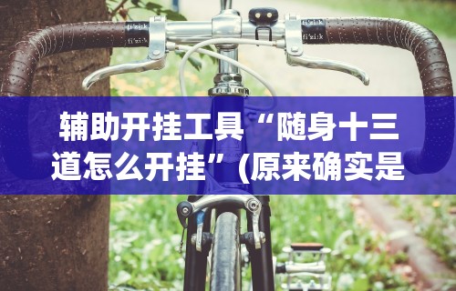 辅助开挂工具“随身十三道怎么开挂”(原来确实是有挂)