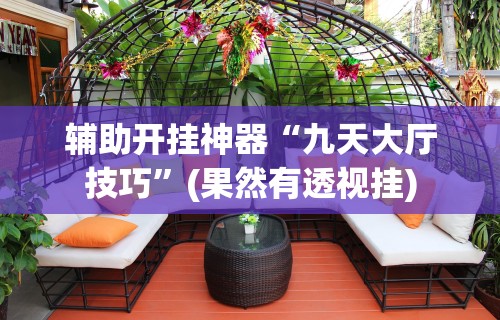 辅助开挂神器“九天大厅技巧”(果然有透视挂)