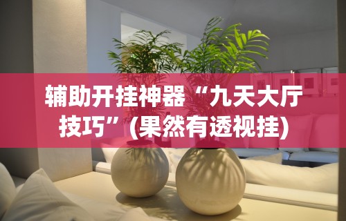 辅助开挂神器“九天大厅技巧”(果然有透视挂)