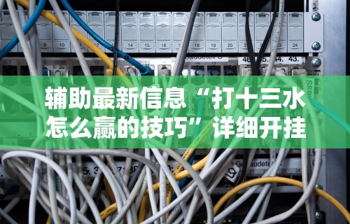 辅助最新信息“打十三水怎么赢的技巧”详细开挂安装教程