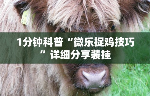 1分钟科普“微乐捉鸡技巧	”详细分享装挂