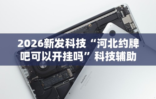 【知道】“卡丁娱乐辅助器试用版	”实测确实有挂