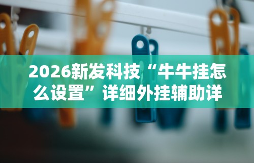 2026新发科技“牛牛挂怎么设置	”详细外挂辅助详细教程