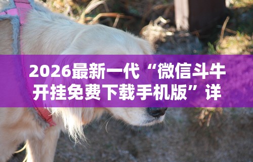 【第一消息】“一起宁德麻内挂辅助”辅助挂下载	”(最新开挂教程)