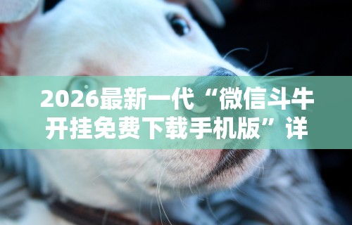 2026最新一代“微信斗牛开挂免费下载手机版”详细分享装挂步骤