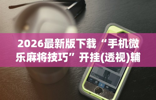 一分钟讲解“十三开挂作弊辅助”(太坑了果然有挂)