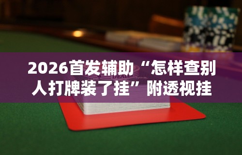 2026首发辅助“怎样查别人打牌装了挂”附透视挂详细教程