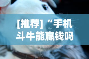 [推荐]“手机斗牛能赢钱吗”(其实是有挂)