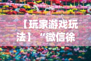 【玩家游戏玩法】“微信徐州麻将红中挂”(原来确实是有挂)