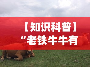 【知识科普】“老铁牛牛有挂吗	”开挂(透视)辅助教程