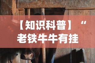 【知识科普】“老铁牛牛有挂吗”开挂(透视)辅助教程