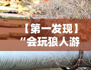 【第一发现】“会玩狼人游戏透视挂”通用版下载教程