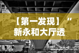 【第一发现】“新永和大厅透视软件”原来有神器下载！