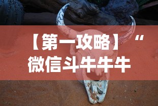 【第一攻略】“微信斗牛牛牛群有挂吗”(详细透视教程)-知乎
