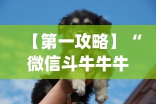 【第一攻略】“微信斗牛牛牛群有挂吗”(详细透视教程)-知乎