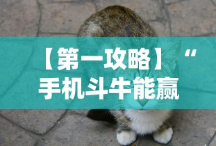 【第一攻略】“手机斗牛能赢钱吗”确实可以使用辅助