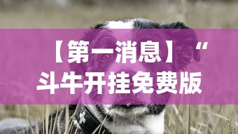 【第一消息】“斗牛开挂免费版最新版本更新内容”(助赢详细开挂教程)