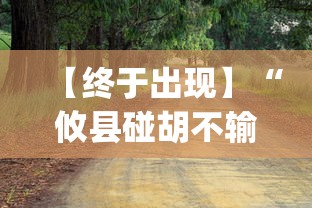 【终于出现】“攸县碰胡不输的技巧”(果然有透视挂)