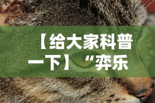 【给大家科普一下】“弈乐麻将外卦神器下载安装”详细外挂安装步骤