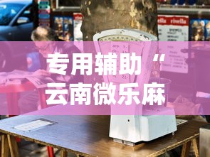 专用辅助“云南微乐麻将开挂神器下载”开挂辅助教程