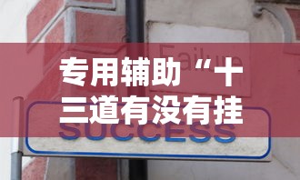 专用辅助“十三道有没有挂车的	”详细辅助教程分享