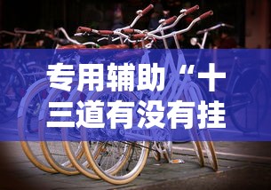 专用辅助“十三道有没有挂车的	”详细辅助教程分享