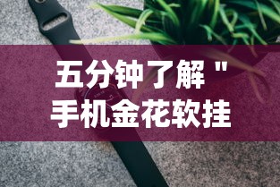 五分钟了解＂手机金花软挂神器”(最新透视辅助上线)