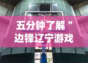 五分钟了解＂边锋辽宁游戏有挂吗	”(果然有透视挂)