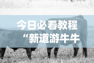 今日必看教程“新道游牛牛透视	”(原来确实是有插件)