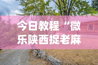 今日教程“微乐陕西捉老麻子技巧	”(太坑了果然有挂)