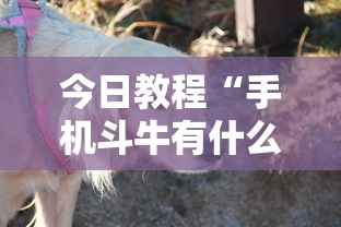 今日教程“手机斗牛有什么规律吗	”有挂详细开挂教程