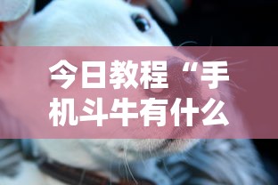今日教程“手机斗牛有什么规律吗”有挂详细开挂教程