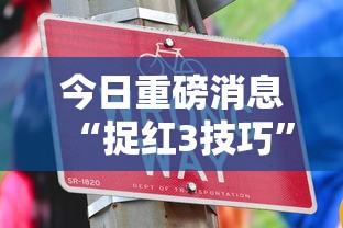 今日重磅消息“捉红3技巧”通用版下载教程