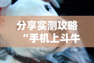分享实测攻略“手机上斗牛怎么才可以开挂”详细开挂安装教程