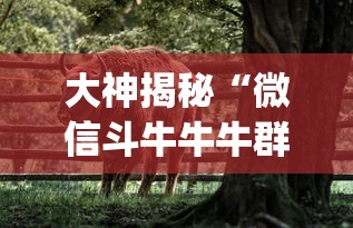 大神揭秘“微信斗牛牛牛群有挂吗(透视)”开挂(透视)辅助教程