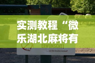 实测教程“微乐湖北麻将有挂吗”(透视挂)辅助透视教程