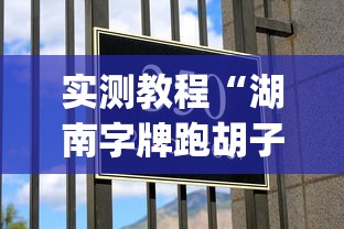 实测教程“湖南字牌跑胡子心得体会技巧	”作弊挂(辅助外挂+教程)