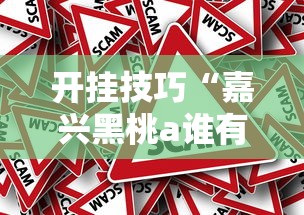 开挂技巧“嘉兴黑桃a谁有挂合作”附开挂脚本详细步骤