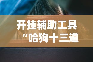 开挂辅助工具“哈狗十三道透视!专业师傅带你一起了解(确实有挂)