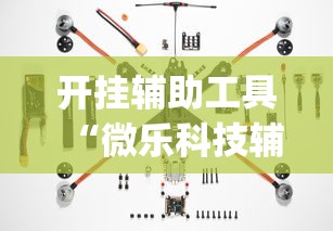 开挂辅助工具“微乐科技辅助器(免费)”附透视挂详细教程