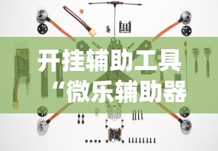 开挂辅助工具“微乐辅助器下载	”(透视)其实确实有挂