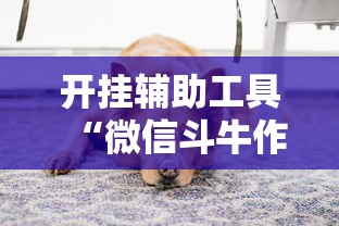 开挂辅助工具“微信斗牛作弊软件	”开挂安装教程