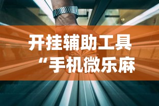 开挂辅助工具“手机微乐麻将开挂视频(透视)”开挂(透视)辅助教程