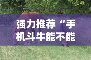 强力推荐“手机斗牛能不能开挂游戏”(原来确实是有挂)