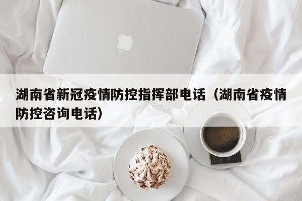 湖南省新冠疫情防控指挥部电话(湖南省疫情防控咨询电话)