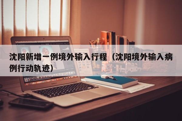 沈阳新增一例境外输入行程(沈阳境外输入病例行动轨迹)