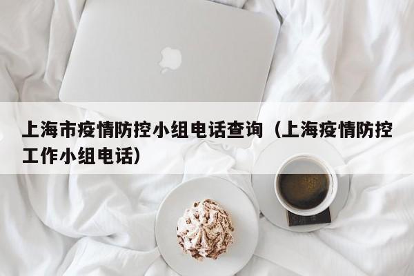 上海市疫情防控小组电话查询(上海疫情防控工作小组电话)