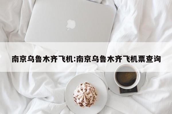 南京乌鲁木齐飞机:南京乌鲁木齐飞机票查询