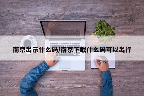南京出示什么码/南京下载什么码可以出行